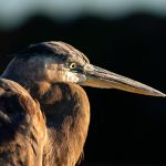 荃灣迷你倉：市場現況及未來發展分析