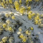 探索健康食品專門店的無限魅力與卓越價值